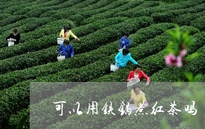 可以用铁锅煮红茶吗/2023041504948