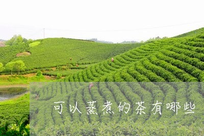 可以蒸煮的茶有哪些/2023041565858