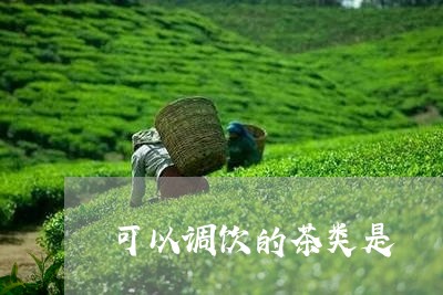 可以调饮的茶类是/2023032424058