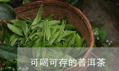 可喝可存的普洱茶/2023041318570