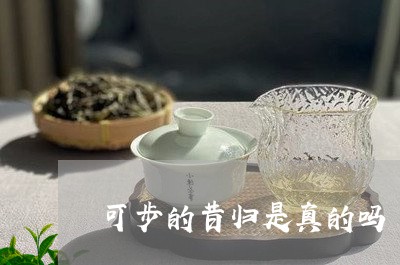 可步的昔归是真的吗/2023031970526