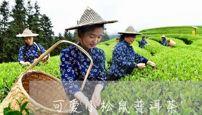 可爱小松鼠普洱茶/2023041005038