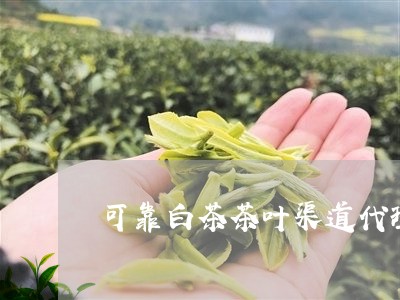 可靠白茶茶叶渠道代理条件/2023040284015