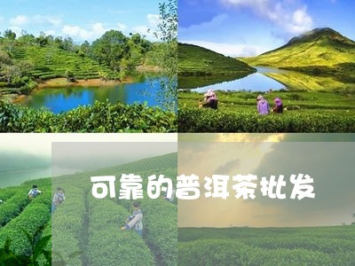 可靠的普洱茶批发/2023041006930