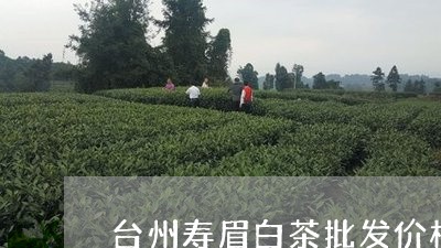 台州寿眉白茶批发价格多少/2023040207482