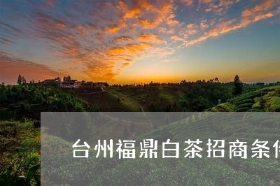 台州福鼎白茶招商条件好吗/2023040262936