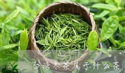 台湾冬茶属于什么茶/2023041553715