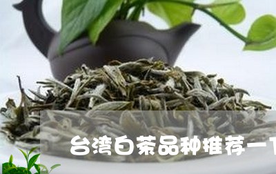 台湾白茶品种推荐一下图片/2023040216160