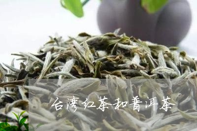 台湾红茶和普洱茶/2023031774036