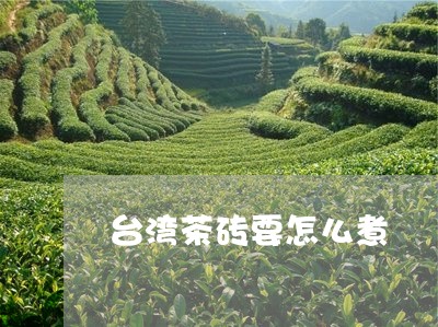 台湾茶砖要怎么煮/2023032400603