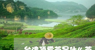 台湾顶雾茶是什么茶/2023031985158