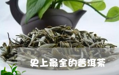 史上最全的普洱茶/2023040939694