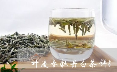 叶凌春牡丹白茶饼500g/2023033163826