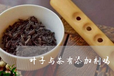 叶子与茶有添加剂吗/2023031923715