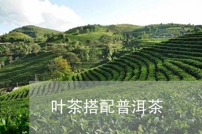 叶茶搭配普洱茶/2023031758383