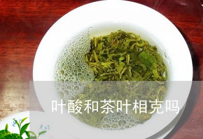 叶酸和茶叶相克吗/2023032663716