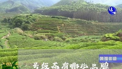 号级茶有哪些品牌/2023041304370