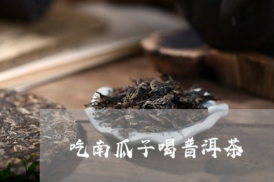 吃南瓜子喝普洱茶/2023033101795