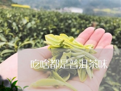 吃啥都是普洱茶味/2023041374705