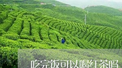 吃完饭可以喝红茶吗/2023031932826