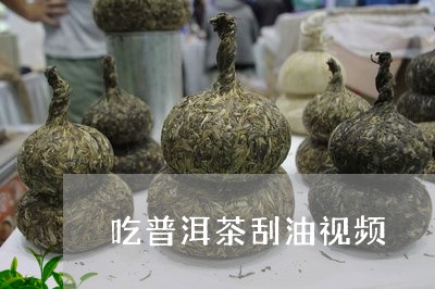 吃普洱茶刮油视频/2023041277591