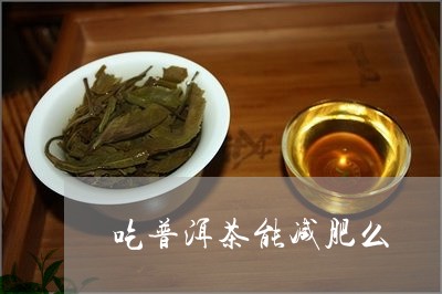 吃普洱茶能减肥么/2023040122837