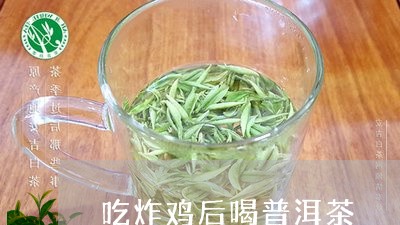 吃炸鸡后喝普洱茶/2023033070027