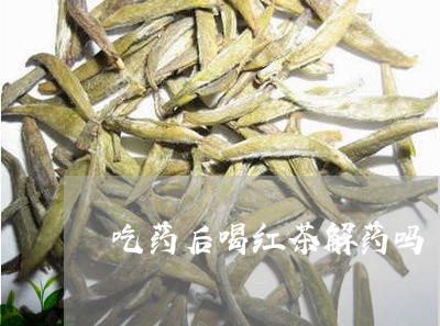 吃药后喝红茶解药吗/2023041585925