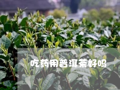 吃药用普洱茶好吗/2023041099383