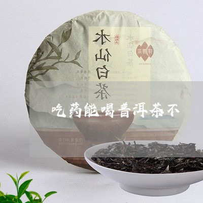 吃药能喝普洱茶不/2023040109462