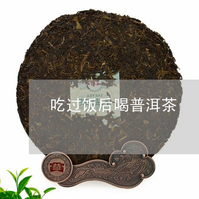 吃过饭后喝普洱茶/2023040153958