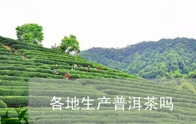 各地生产普洱茶吗/2023041304037