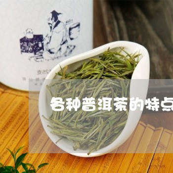 各种普洱茶的特点/2023041468659