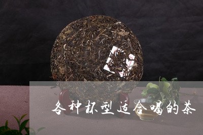 各种杯型适合喝的茶/2023031981593