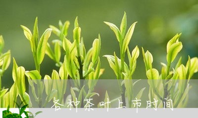 各种茶叶上市时间/2023032674848