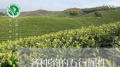 各种茶的五行属性/2023032471482