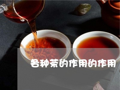 各种茶的作用的作用/2023041773845