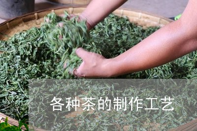 各种茶的制作工艺/2023032414959