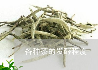 各种茶的发酵程度/2023032484146