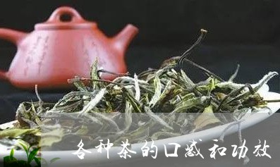 各种茶的口感和功效/2023032164826