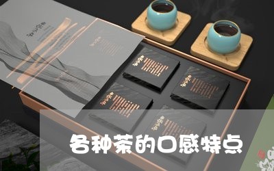 各种茶的口感特点/2023032503724