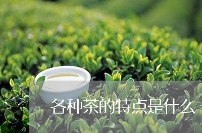 各种茶的特点是什么/2023041748470