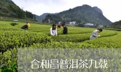 合和昌普洱茶九载/2023033173904