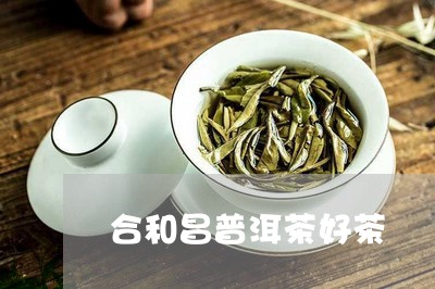 合和昌普洱茶好茶/2023040115056