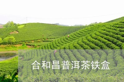 合和昌普洱茶铁盒/2023033158602