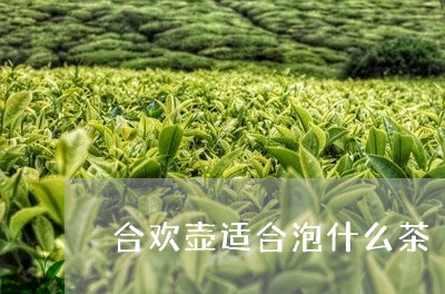 合欢壶适合泡什么茶/2023041582714