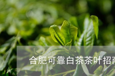 合肥可靠白茶茶叶招商代理/2023040178170