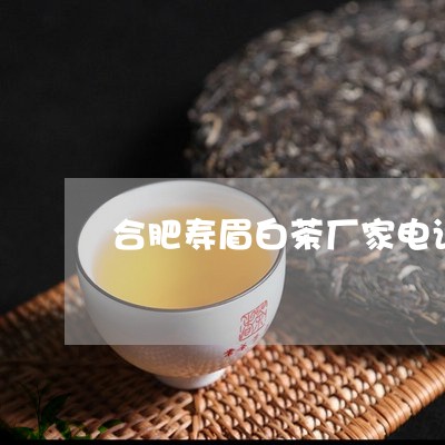 合肥寿眉白茶厂家电话多少/2023040153869