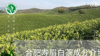 合肥寿眉白茶成分介绍图片/2023040172725