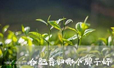 合肥昔归哪个牌子好/2023041453714